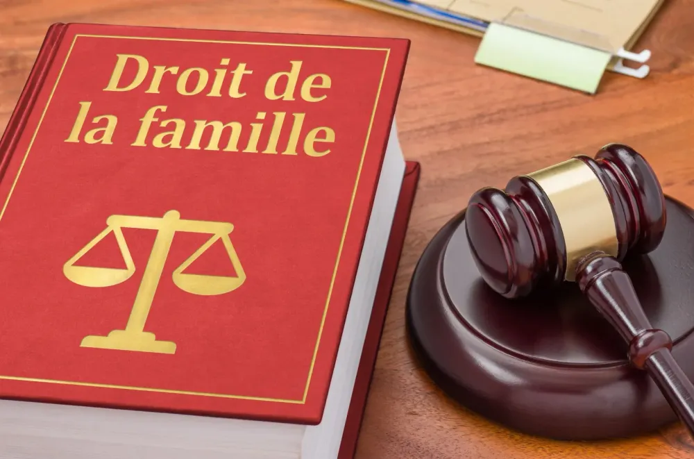 Droit de la famille (Grand)